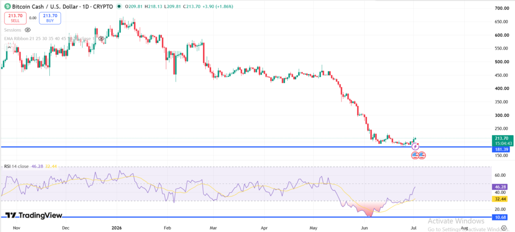 سعر BCH يرتد من أدنى مستوى تاريخي في منطقة ذروة البيع، لكنه قد يواجه مقاومة