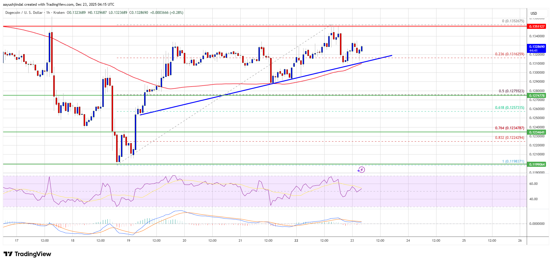 Dogecoin (DOGE) Rebound Hits Resistance, Raising Fresh Rejection Risks