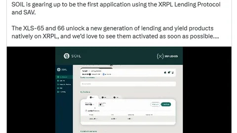 سجل XRP: مدير شركة ريبل يسلط الضوء على القروض الأصلية الجديدة والعائد على السلسلة