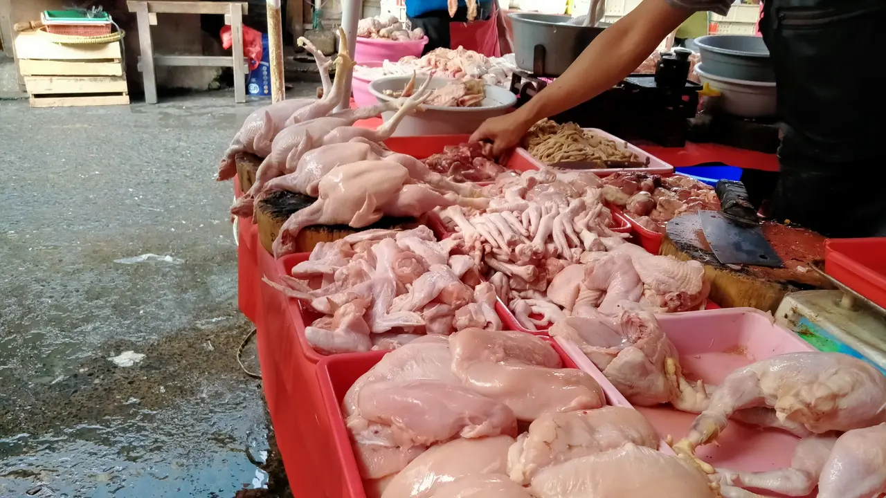 Harga Ayam Tembus Rp 50.000 per Kg, Ukuran Daging Dijual Kian Mengecil image 0