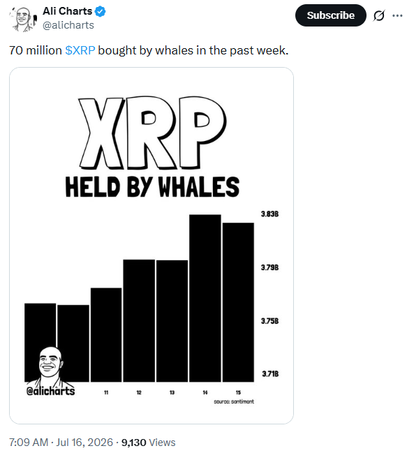 سجل دفتر الأستاذ XRP رقماً قياسياً في الاستخدام مع توجه كبار المستثمرين إلى XRP image 2