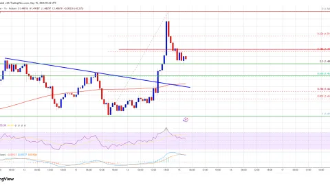 XRP Price Dominates Crypto Market As Bitcoin And Ethereum Lag Behind