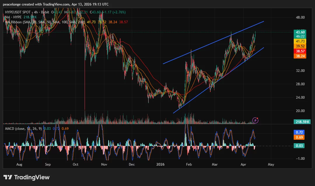  Will Hyperliquid price break $46 or reverse at ascending channel resistance? 
