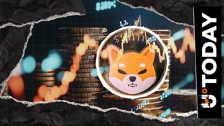 Shiba Inu (SHIB) Price Reset Point: Three Oversold Indicators, 20% Potential image 1