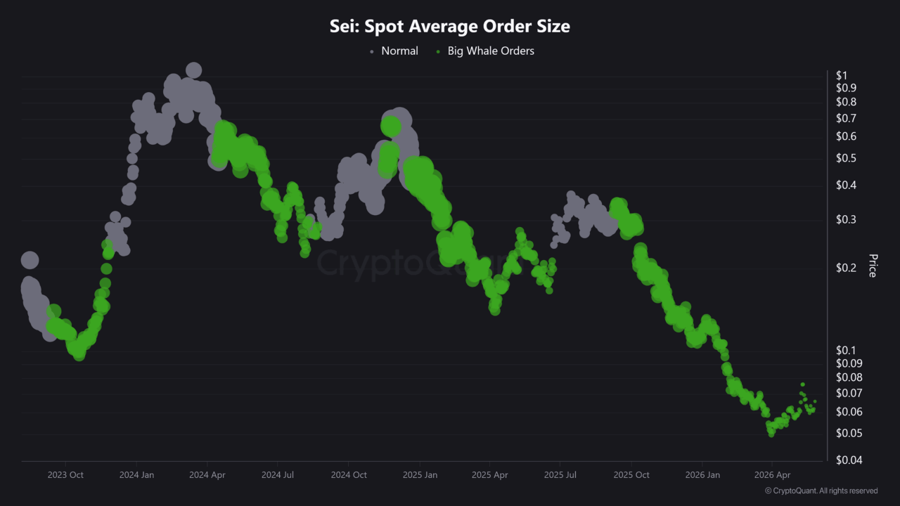 SEI jumps 15% – Assessing if rising whale activity could push price to $0.08 image 2
