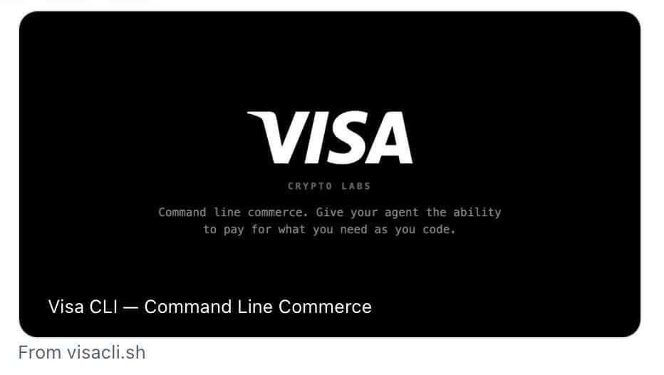 AI 智能体正抢夺 Visa 的盘中餐  image 2